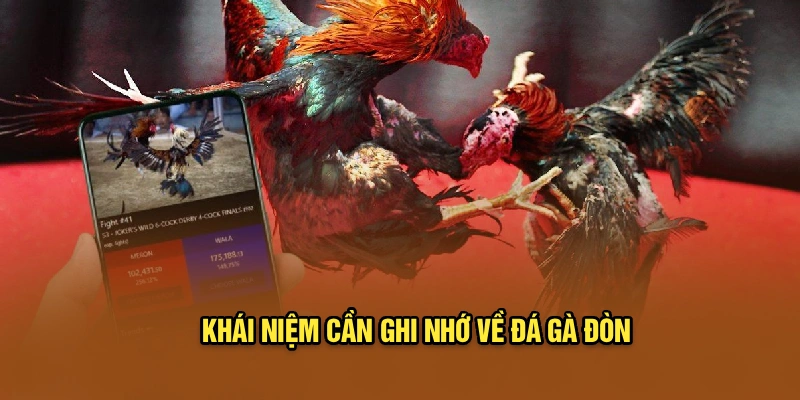 Khái niệm cần ghi nhớ về đá gà đòn