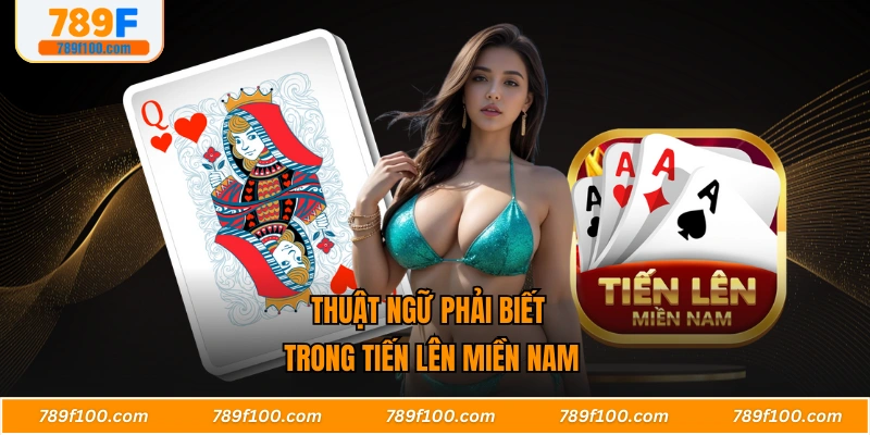 Thuật ngữ phải biết trong tiến lên miền Nam